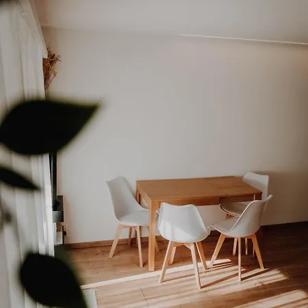 Superb Modern ロイカーバード