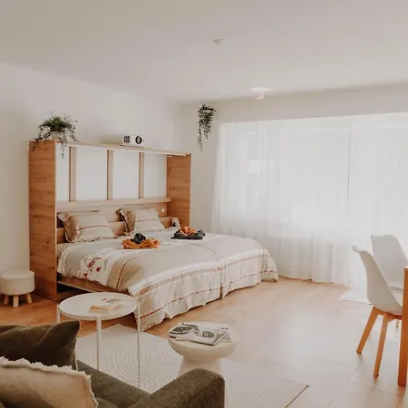 Apartament Superb Modern *